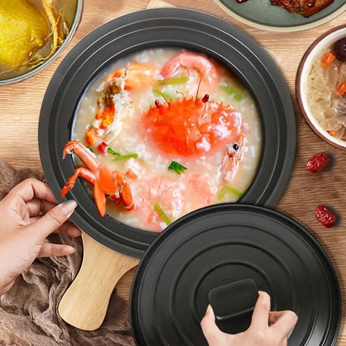 飞鹿电炖锅 一锅多能，匠心慢炖，轻松解锁滋补佳肴